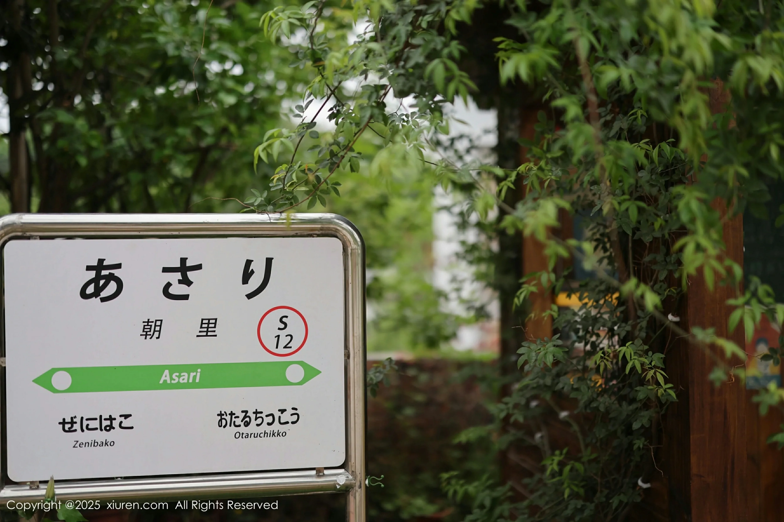 [XiuRen秀人网] 2025.04.29 No.10215 茂木希子 新人首套写真 性感红色裙子 诱人肉色丝袜 [82+1P]