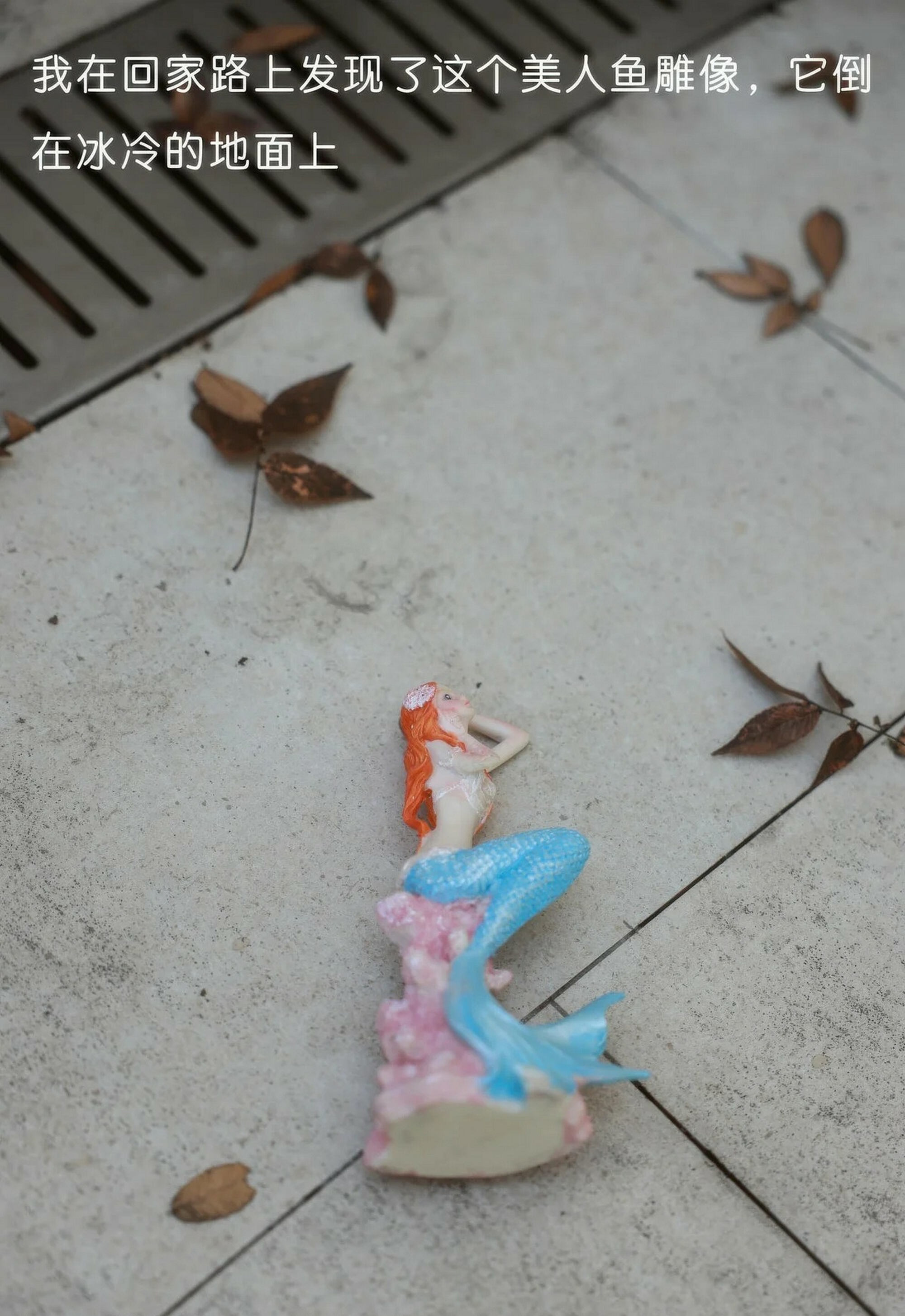 [XiuRen秀人网] 2026.01.30 No.11298 小薯条nienie 性感浅色情趣服饰 大连旅拍写真 [70+1P]